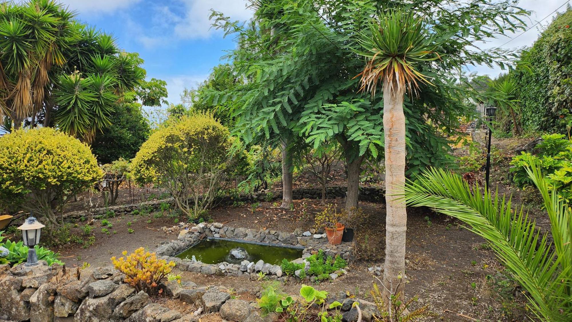 Oasis Hill Botanical Garden Villa Icod De Los Vinos Eksteriør bilde