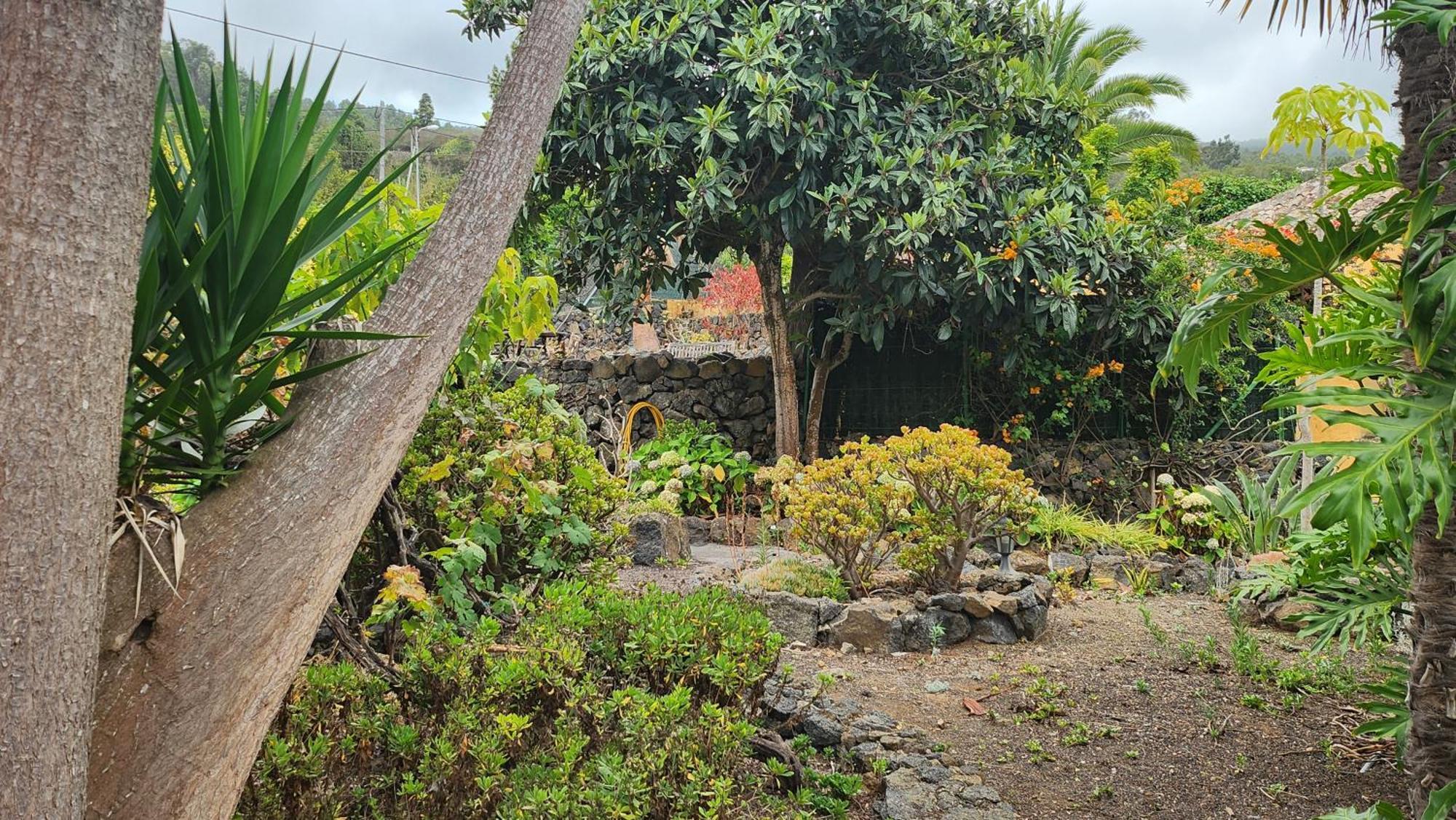 Oasis Hill Botanical Garden Villa Icod De Los Vinos Eksteriør bilde