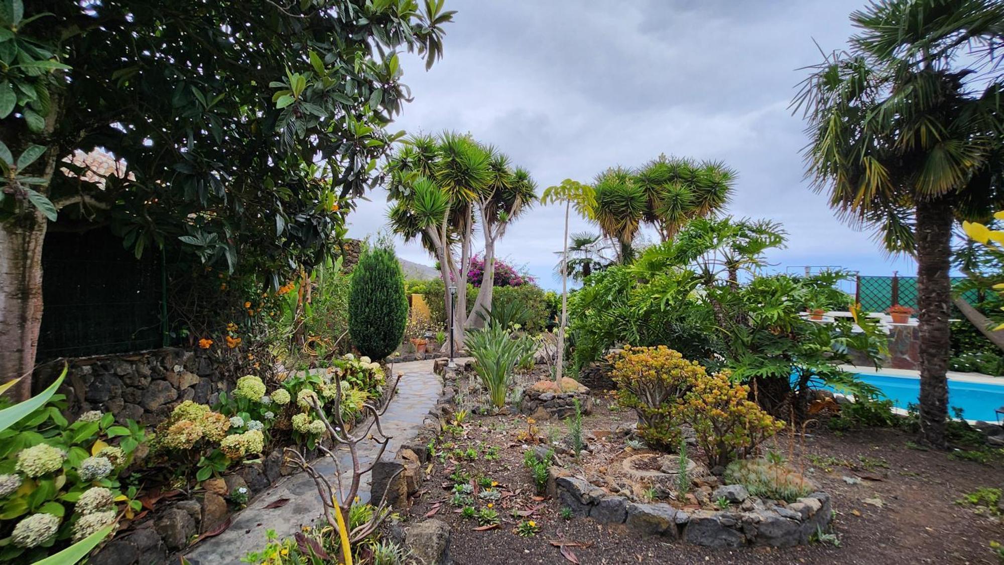 Oasis Hill Botanical Garden Villa Icod De Los Vinos Eksteriør bilde